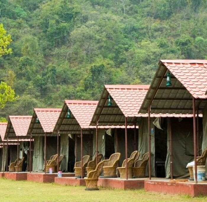 Reverse Bungee Thrill – Rishikesh